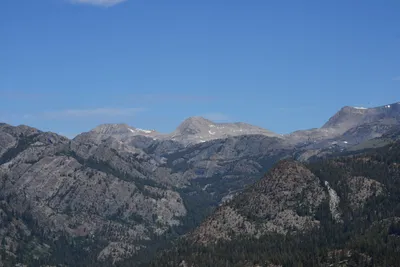 DSC_9960 (Large).JPG